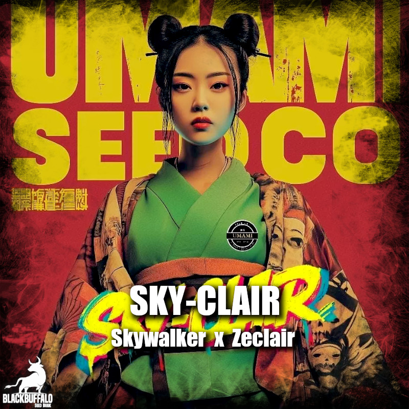 Sky-Clair Umami Seed Co Feminized Seeds 1 Sky-Clair Umami Seed Co Feminized Seeds