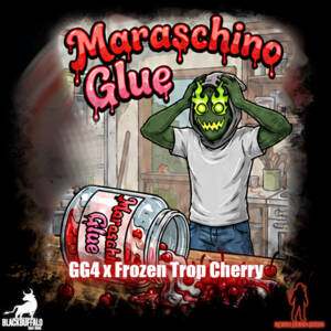 Maraschino Glue Robin Hood feminized seeds