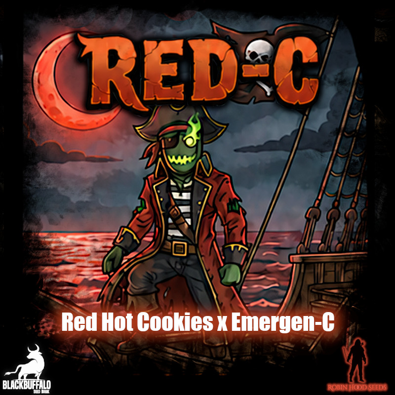 Red-C Robin Hood feminized seeds