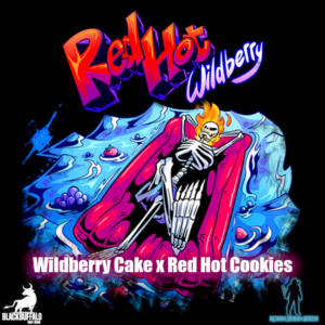 Red Hot Wildberry Robin Hood feminized seeds